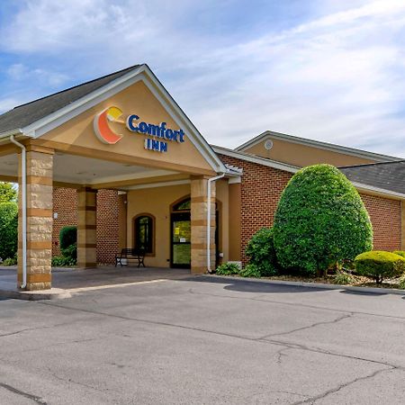 Comfort Inn Atkins-Marion I-81 Ngoại thất bức ảnh